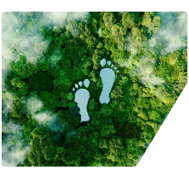 Water Footprint Assessment